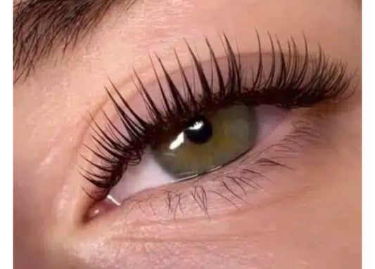 Soft Ink- Eyelash Cluster (10mm-18mm)
