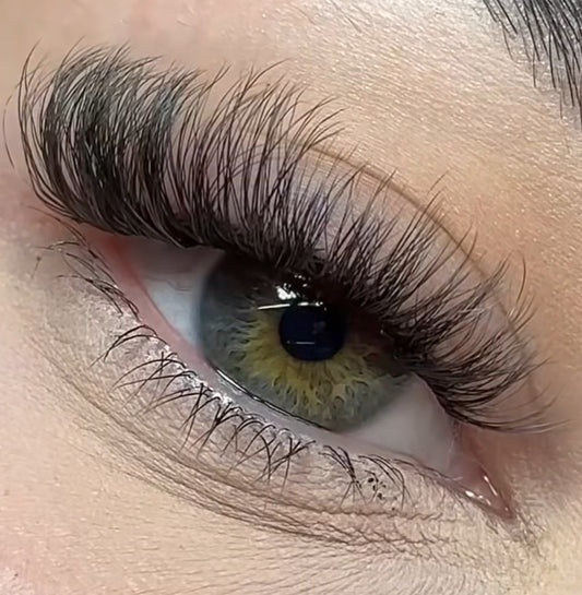 Air Kiss- Eyelash Cluster (10mm-18mm)